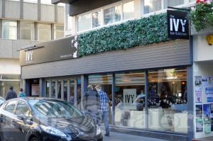 Picture of The Ivy
