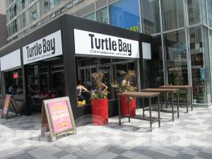 Picture of Turtle Bay