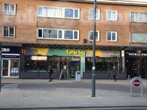 Picture of Turtle Bay