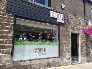 Picture of Hop