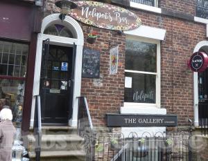 Picture of Nelipots