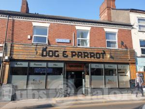 Picture of Dog & Parrot