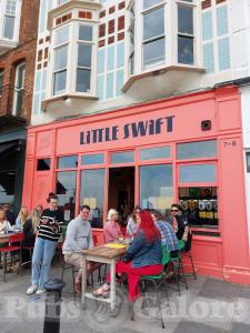 Picture of Little Swift