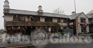 Picture of The Flying Pig