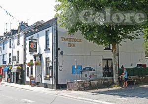 Picture of Tavistock Inn