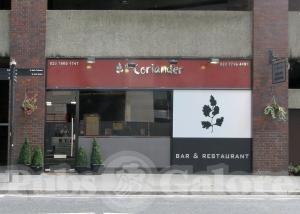 Picture of The Coriander