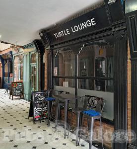 Picture of Tipsy Turtle