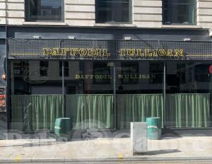 Picture of Daffodil Mulligan