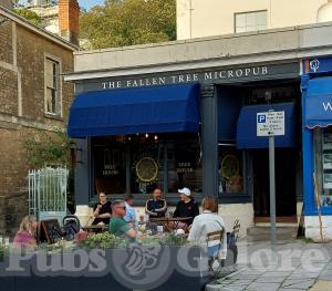 Picture of The Fallen Tree Micropub