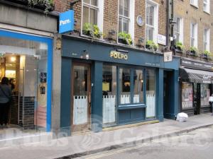 Picture of Polpo
