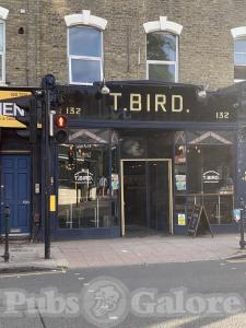 Picture of T. Bird