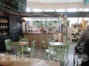 Picture of Gindifferent