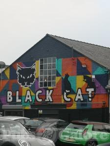 Picture of Black Cat Bar