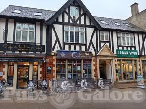 Picture of The Mini Monocle