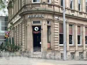 Picture of Red Dog Saloon
