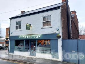 Picture of The Sorrel Fox