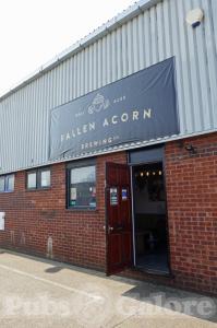Picture of Fallen Acorn Brewery Taproom