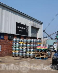 Picture of Fallen Acorn Brewery Taproom