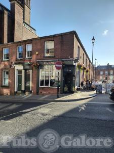 Picture of Fox & Pine