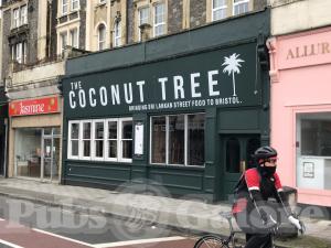 Picture of The Coconut Tree