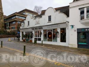 Picture of The Red Deer