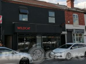 Picture of Wildcat