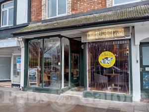 Picture of The Black Toad