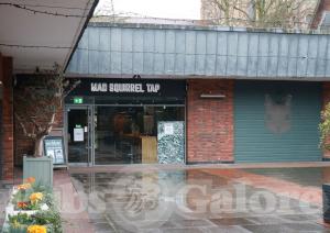 Picture of Mad Squirrel Tap