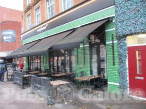 Picture of The Wayfarer