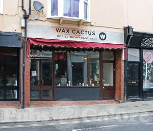 Picture of Wax Cactus