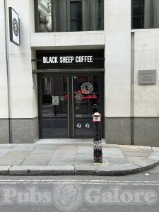 Picture of Black Sheep
