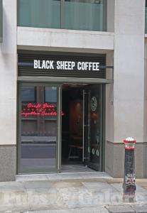 Picture of Black Sheep