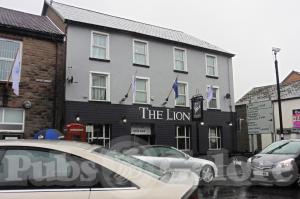 Picture of The Lion
