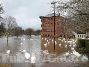 Picture of Browns at the Quay