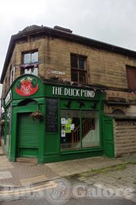 Picture of The Duck Pond