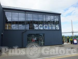 Picture of Scotts