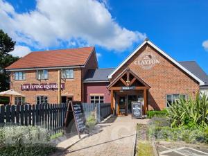 Picture of Flying Squirrel