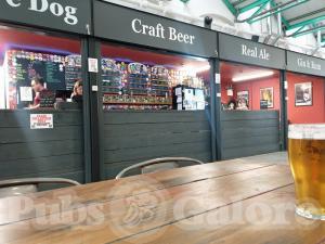 Picture of Crewe Dog