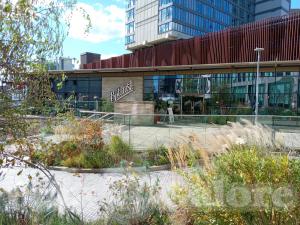 Picture of The Botanist