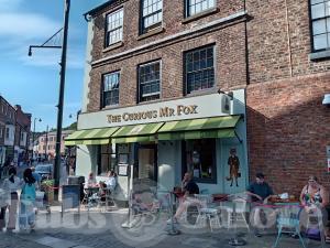 Picture of The Curious Mr Fox