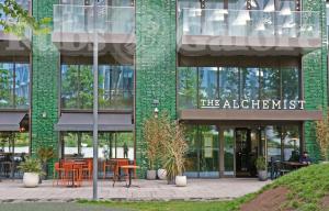 Picture of The Alchemist