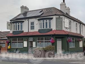 Picture of The Ivy Tree