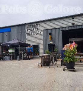 Picture of Vibrant Forest Tap Room
