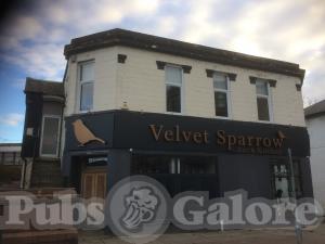 Picture of Velvet Sparrow