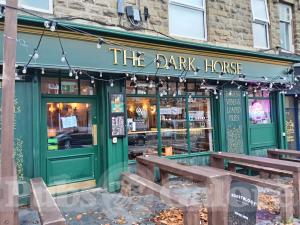 Picture of The Dark Horse