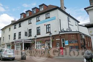 Picture of The Snooty Fox
