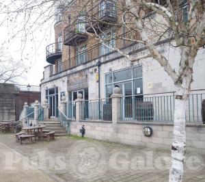 Picture of Lost Hop