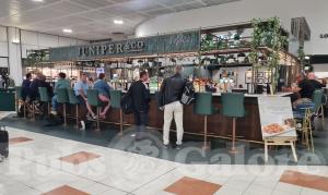 Picture of Juniper & Co