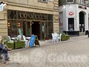 Picture of Cosy Club