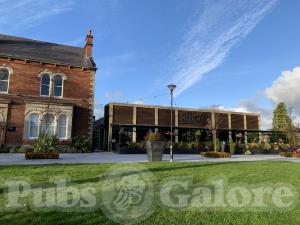 Picture of Albert’s